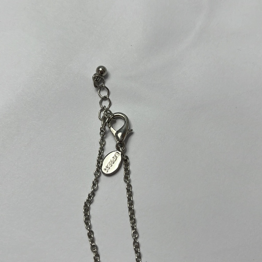 Express Silver Pendant Necklace - Picture 4 of 4